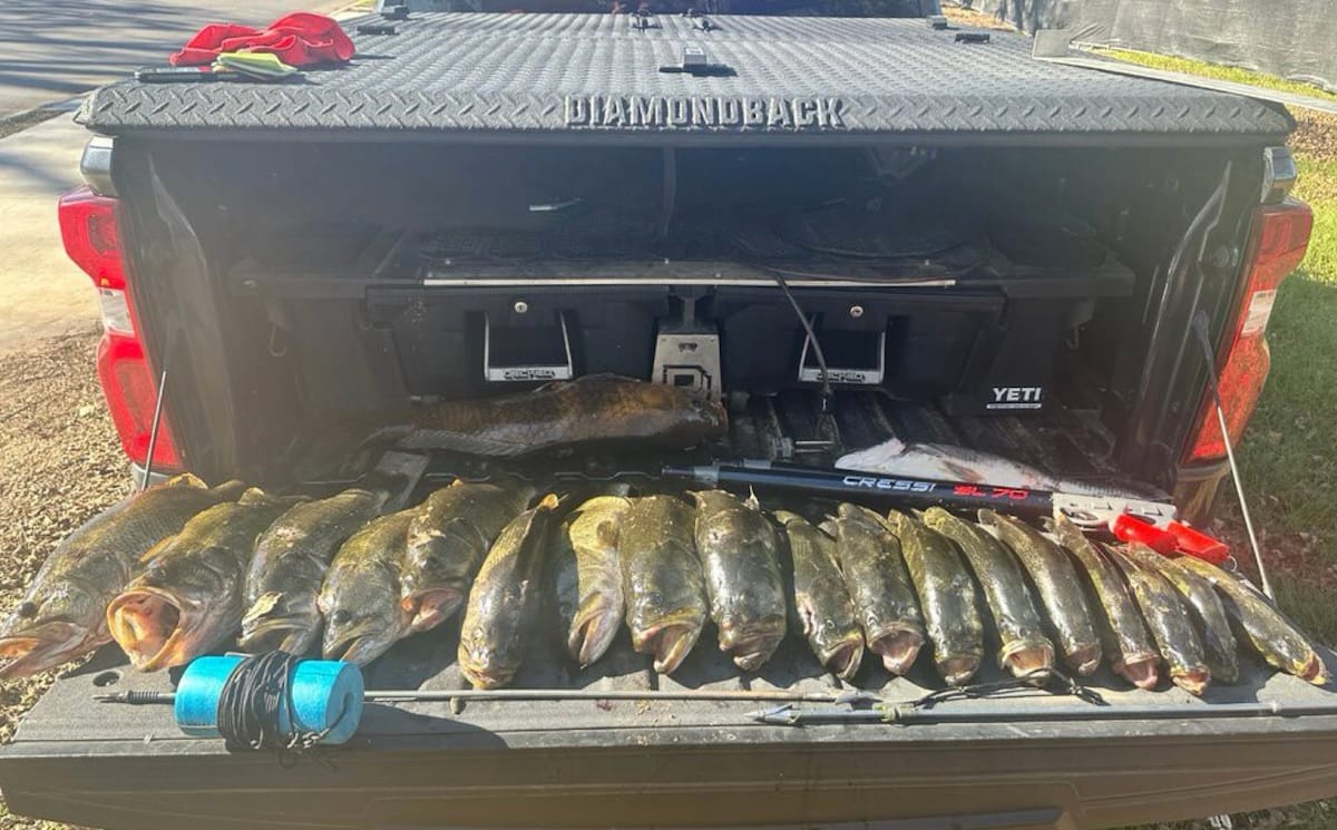 Texas Game Wardens Seize 18 Illegally Spearfished Black Bass at Lady Bird Lake