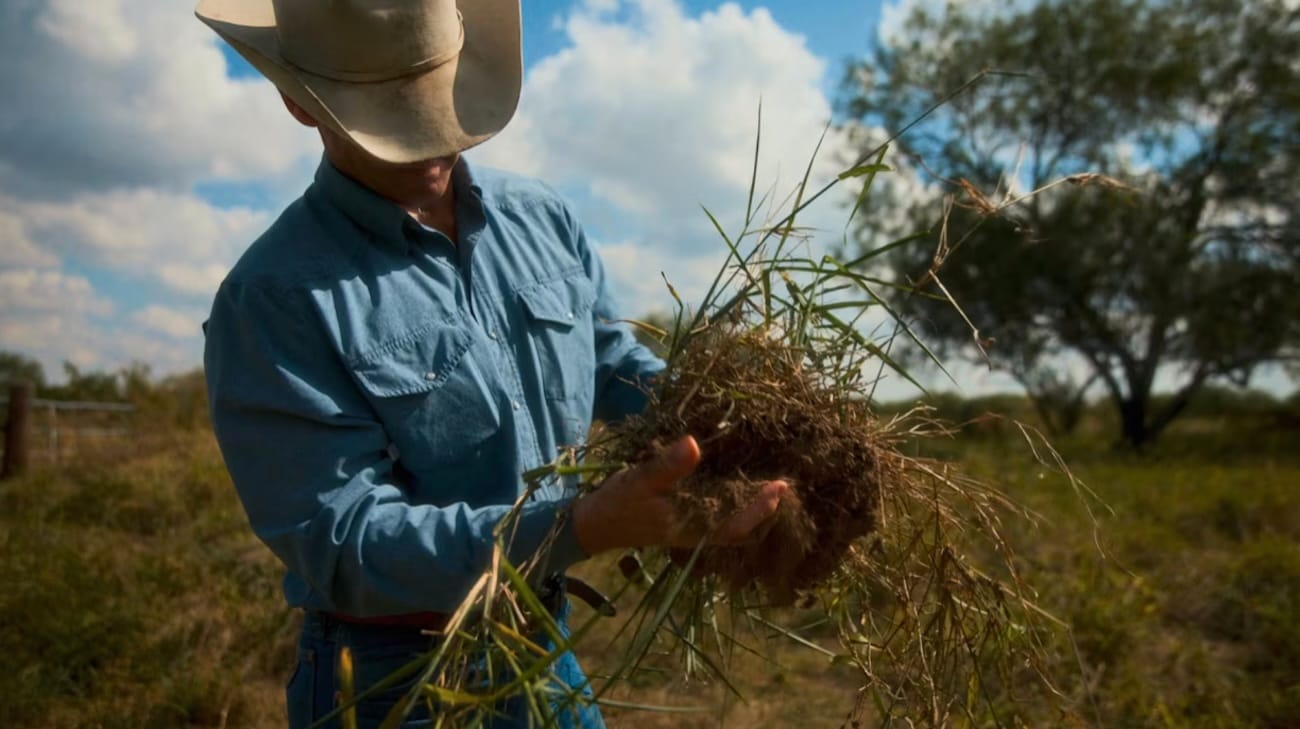 Ranchers Are Falling Into Debt and Selling Land. Carbon Credits Are a Way to Keep Farming