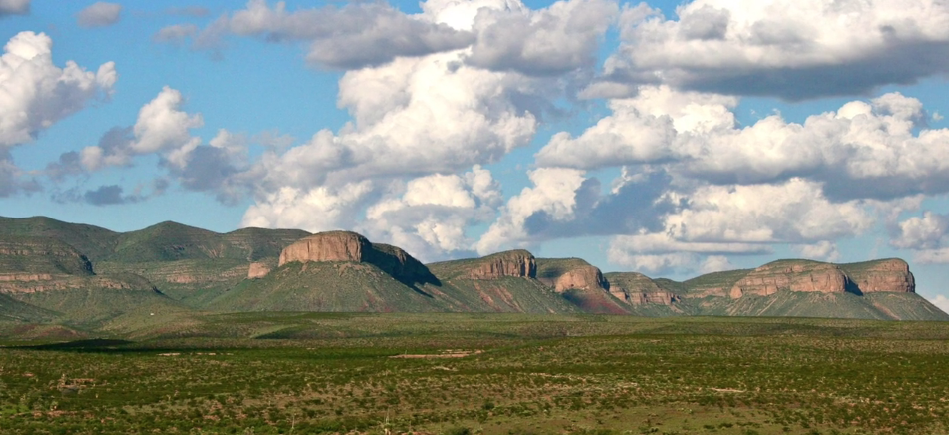 circle_ranch_drough_busters_101