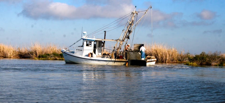 spring_ranch_guadalupe_delta
