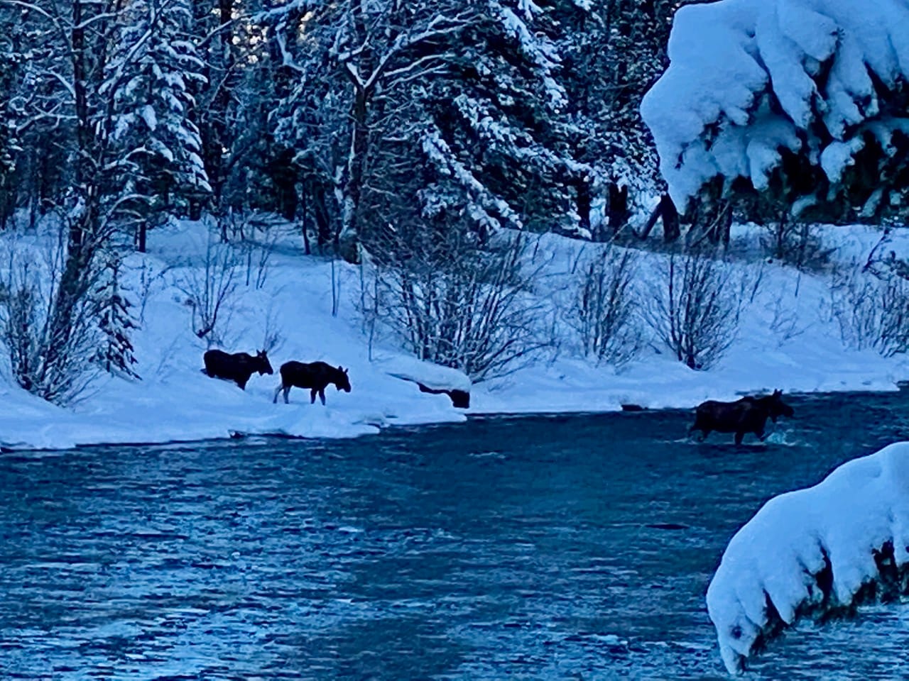 pitchstone_waters_idaho_christmas_2020