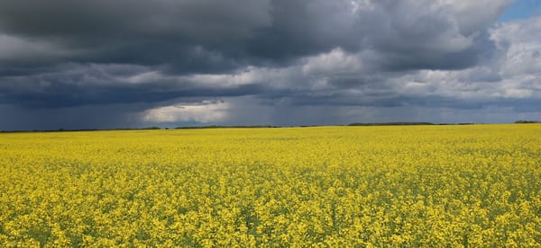 circle_ranch_bayer_monsanto