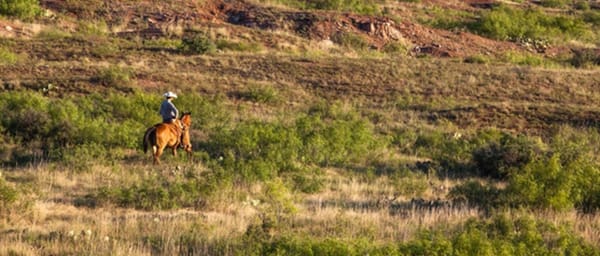 circle_ranch_waggoner_ranch