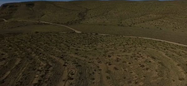 Gulleys for Grassland Restoration #12: Chupacabra Dam