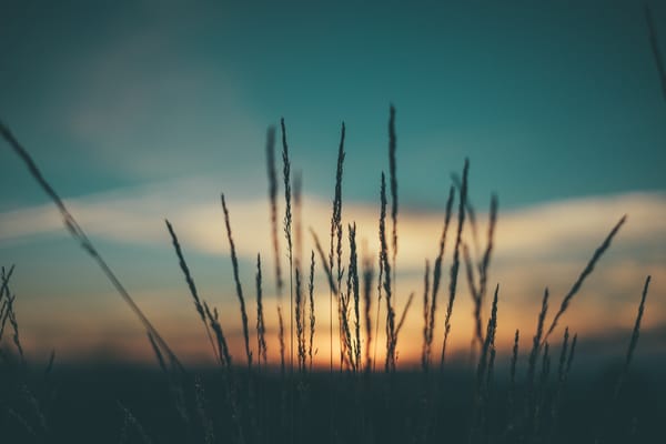 texas_grasslands_feature_aperture_village