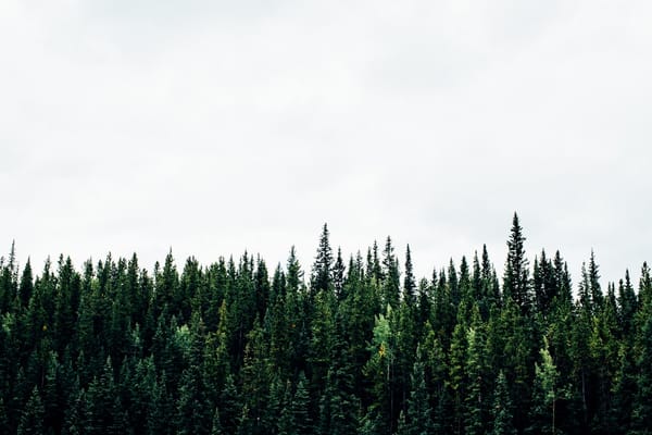 trees_fdr