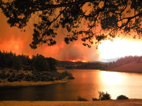 Are Prescribed Burns The Silver Bullet Suggested For Wildfires?